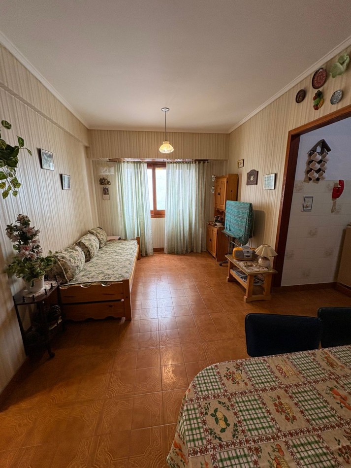 DEPARTAMENTO SOBRE PEATONAL
