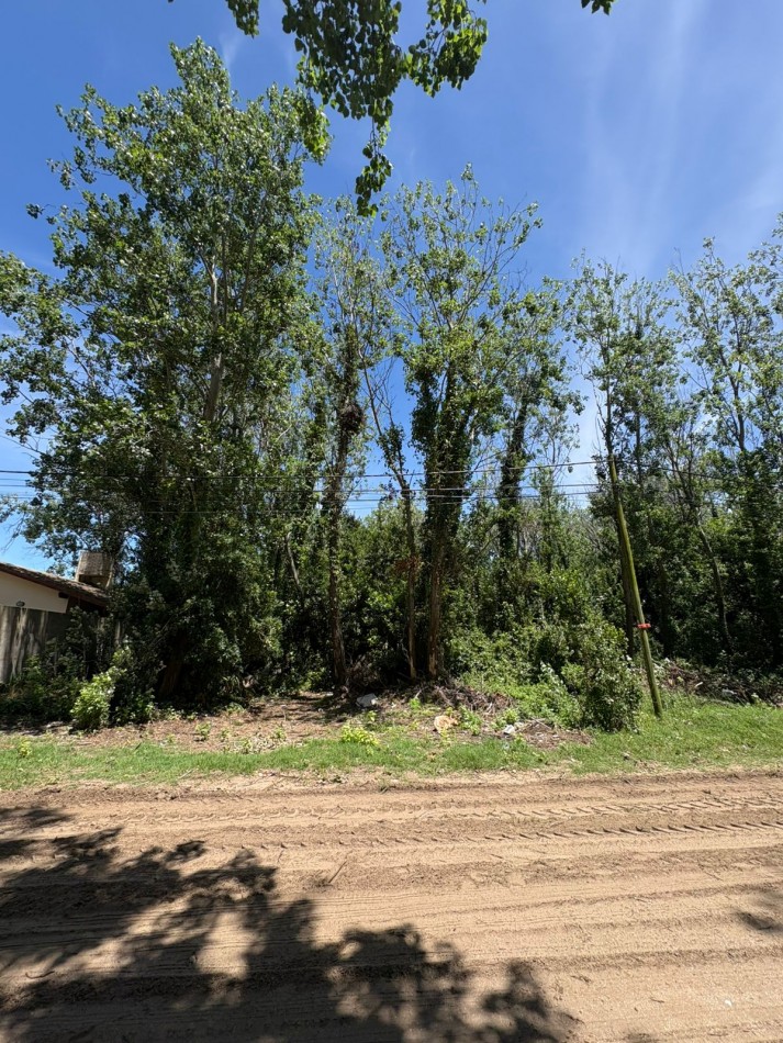 LOTE DE 800 M2 EN LAS TONINAS