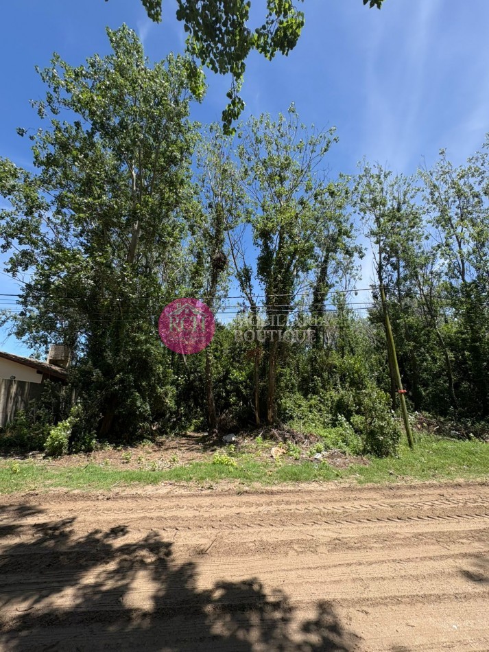 LOTE DE 800 M2 EN LAS TONINAS